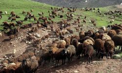 "Halk Elinde Islah Projeleri"Ne 2,7 Milyar Lira Destek Sağlandı