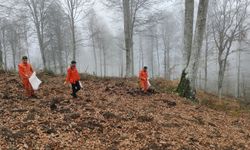 Harmancık’ta yanan ormanlara tohumlar serpiliyor