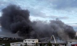 İstanbul Tuzla'da fabrika yangını