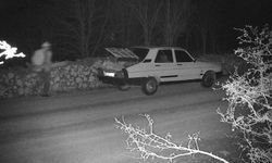 OGM’den kaçak kesimlere karşı 7/24 koruma