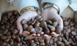 Kış Aylarının Vazgeçilmez Lezzeti: Kestane