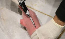 Koyunların karnına uyuşturucu sakladılar