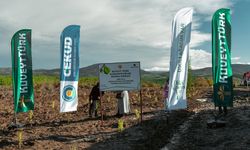 Kuveyt Türk’ten 20 Bin Fidanlık Hatıra Ormanı