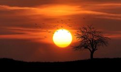 Kuzey Yarım Küre kışı "en uzun gece" ile karşılıyor