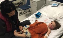 Pitbull, iki küçük kardeşe saldırdı: Köpeğin sahibi gözaltına alındı