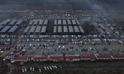 Şarkışla Canlı Hayvan Pazarı Yeniden Açıldı