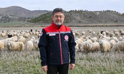 Tiftik, Yeni Destek Mekanizmalarıyla Ekonomiye Kazandırılacak