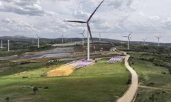 Aydem Yenilenebilir Enerji Kurulu Gücünü 1.216 MW’a Yükseltti