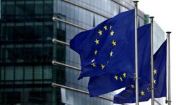 ABD ve Çin baskısı AB ve Hindistan arasındaki 19 yıllık pazarlığı bitirdi