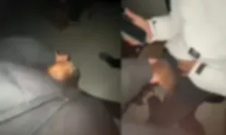 Afşin’de Atatürk'e Hakaret Eden 3 Zanlı Tutuklandı