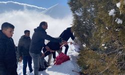 Afşin’de Yaban Hayatı İçin Yemleme ve Kuduz Aşısı Çalışması Yapıldı