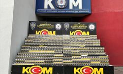 Adana'da kaçakçılık operasyonunda yakalanan 2 zanlı tutuklandı