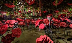 Akasya AVM'den yarıyıl tatiline özel program