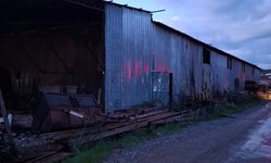 Alanya'da palet fabrikasında çıkan yangın söndürüldü