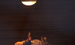 Antalya Doğal Yaşam Parkı'ndaki hayvanlar için kış tedbirleri alındı