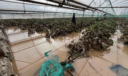 Antalya'da sağanağın hasara yol açtığı Kumluca'da tespit çalışmaları başladı