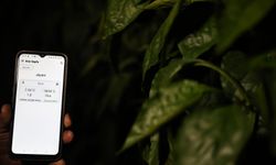 Antalya'da üreticiler dijital tarım uygulamasıyla seralarını telefondan izleyebiliyor