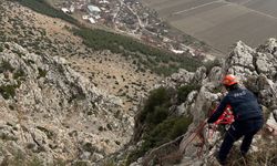 Burdur'da dağda mahsur kalan keçiyi AFAD kurtardı