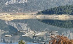 Burdur'daki Karacaören Barajı'nda üretilen alabalık ve somon yurt dışından alıcı buluyor