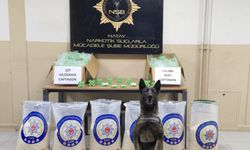 Hatay'da depoda 642 bin uyuşturucu hap ele geçirildi