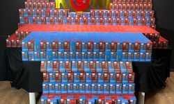 Kahramanmaraş'ta kaçakçılık operasyonunda 1 şüpheli yakalandı