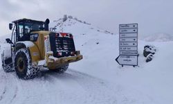 Kahramanmaraş'ta kar nedeniyle 191 mahalleye ulaşım sağlanamıyor