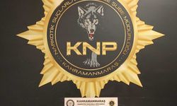 Kahramanmaraş'ta uyuşturucu operasyonunda 2 şüpheli tutuklandı