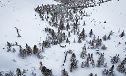 Kar yağışıyla beyaza bürünen Aladağlar Milli Parkı dronla görüntülendi