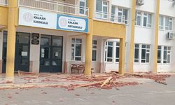 Kaş'ta fırtınada bazı ağaçlar kökünden söküldü, elektrik direkleri devrildi