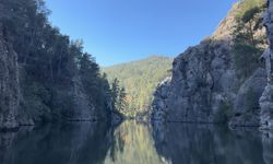 Koruma altındaki sığla ormanının güzellikleri tekne turuyla keşfediliyor