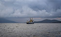 Marmara'nın deniz çayırları yapay zeka destekli sistemle haritalandırılıyor