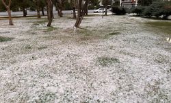 Mersin'de dolu etkili oldu