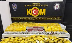 Mersin'de tırda gümrük kaçağı sigara ve puro ele geçirildi
