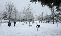 Pozantı ve Feke ilçelerinde kar etkili oldu