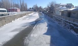 Sivas'ta soğuk hava etkili oluyor