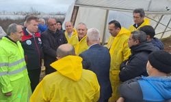 TARSİM'den Antalya'da su baskınından etkilenen seralara ziyaret