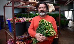 Türkiye'den 2025'te 83 ülkeye çiçek ihracatı yapıldı