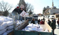 Büyükşehir'den 2025 yılında hayvancılığa 503 bin 625 kg yem desteği