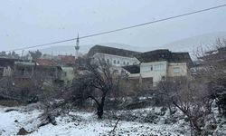 Hatay'da kar yağışı başladı