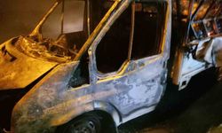 Osmaniye'de mandalina yüklü kamyonette çıkan yangın söndürüldü