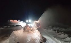 Ağrı-Kağızman kara yolu ulaşıma açıldı