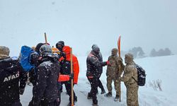 Artvin'de çığ altında kalan 2 çobanı arama çalışmaları sürüyor