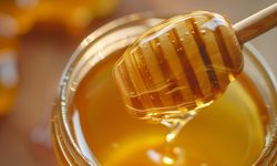 Doğadan sofraya gelen şifa: Bal