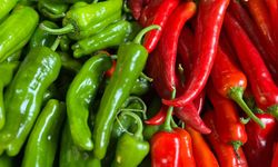 Batı Akdeniz'in ihracat şampiyonu biber oldu