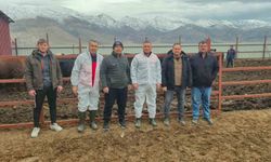 Dinar’da ithal hayvan besiciliği yapılan işletmelere yönelik denetim