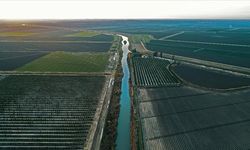 Güneydoğu Anadolu'da su kaynaklarındaki azalış fark edilir seviyeye geldi