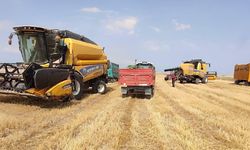Tarımda tüm zamanların en yüksek yıllık ihracatı