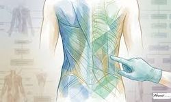 İnce Bel İçin "Kaburga Aldırma" Devri Bitiyor