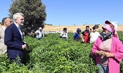 Kahramanmaraş Büyükşehir’den 2025’te Çiftçiye 100 Milyonluk Destek
