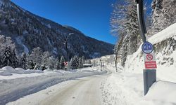 Karadeniz'de 1327 yerleşim yerine ulaşım sağlanamıyor